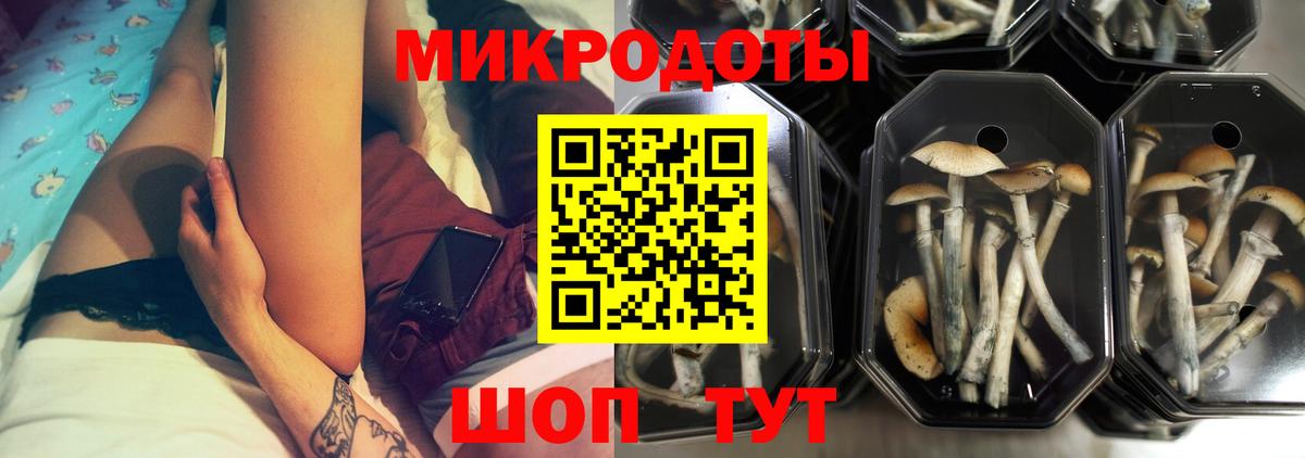 Галлюциногенные грибы мицелий  Вход с VPN  Приморско-Ахтарск  Галлюциногенные грибы GOLDEN TEACHER 